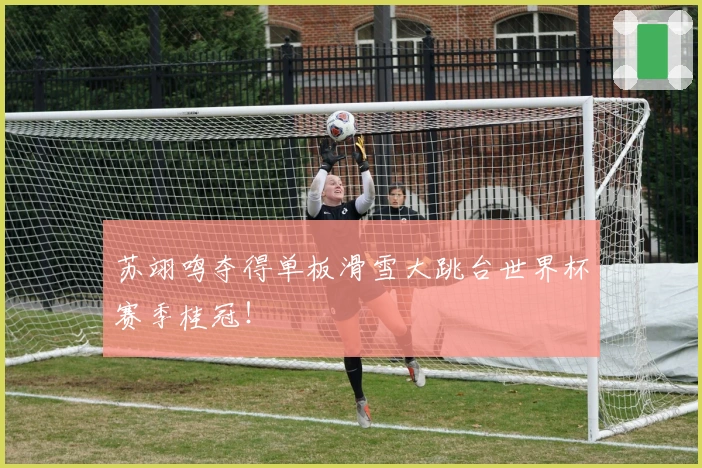苏翊鸣夺得单板滑雪大跳台世界杯赛季桂冠！